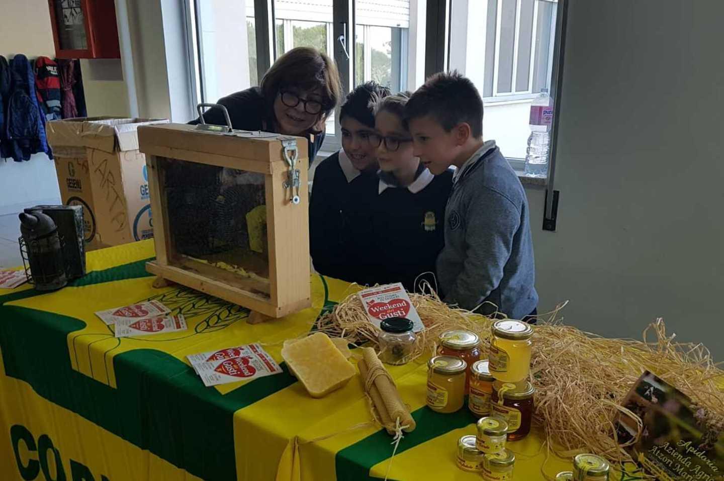 A scuola di apicoltura e cibo sano 