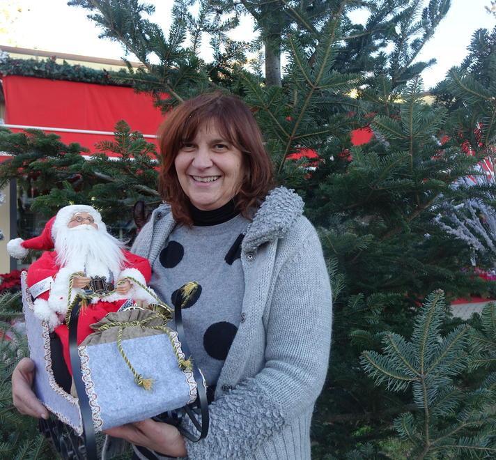 Stefania Bollati, la regina della foresta di abeti a Colline: «Come degli elfi siamo immersi nel Natale» 