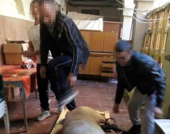 La Livorno fuorilegge, dove tutto si può: macello abusivo nella zona dello shopping 