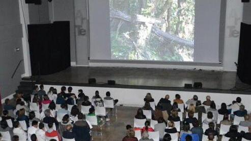 Arté, nuova copertura e capienza aumentata si punta ai 200 posti