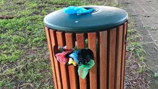 I proprietari dei cani «Cestini mai svuotati» nella Pineta di Ponente
