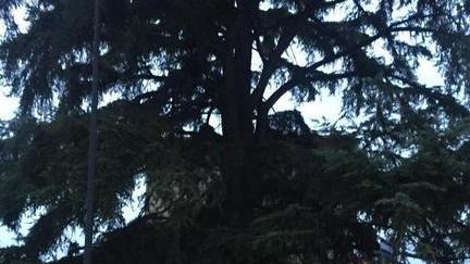 Ai Fratelli Gori e alle loro fotografie verrà intitolato un angolo di città