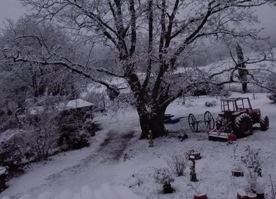 Primi fiocchi su Montieri mentre nevica sull’Amiata 