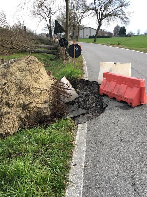 Cade un altro albero Via Comunale sempre più martoriata