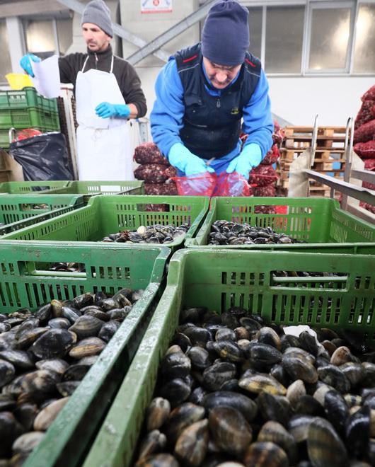 I pescatori chiamati a salvare le casse del Comune autonomo 