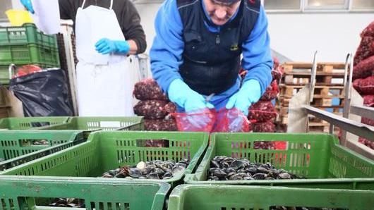 I pescatori chiamati a salvare le casse del Comune autonomo