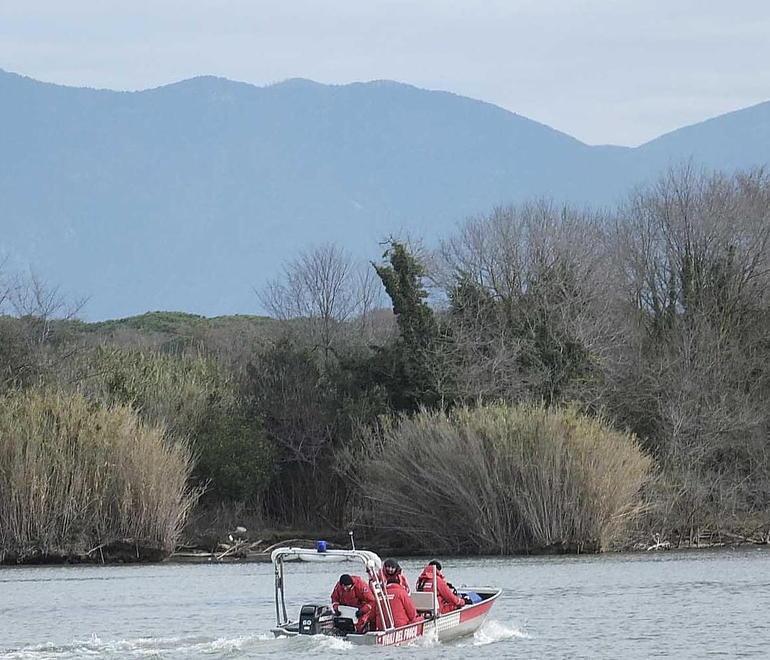 Bracconieri armati come killer e il guadagno è facile e veloce 