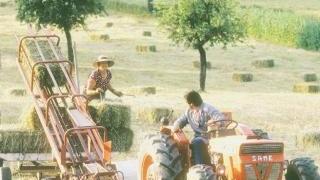 Al lavoro nei campi