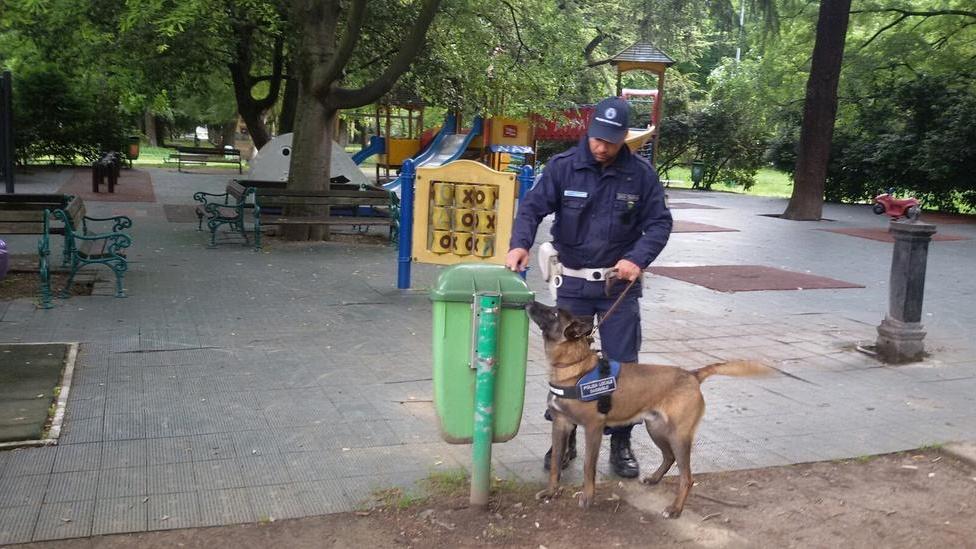 Sicurezza, nuovi segugi per i vigili urbani