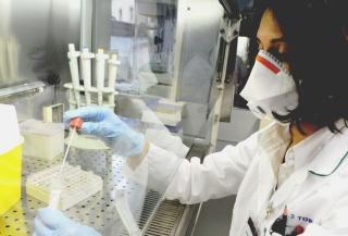 L’analisi di un tampone per l’influenza H1n1
