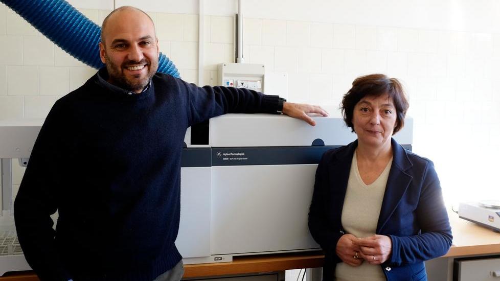 Gli scarti delle vongole per la medicina e l’edilizia