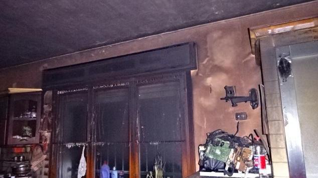 Incendio rovina la casa e uccide otto cani Scatta la raccolta fondi