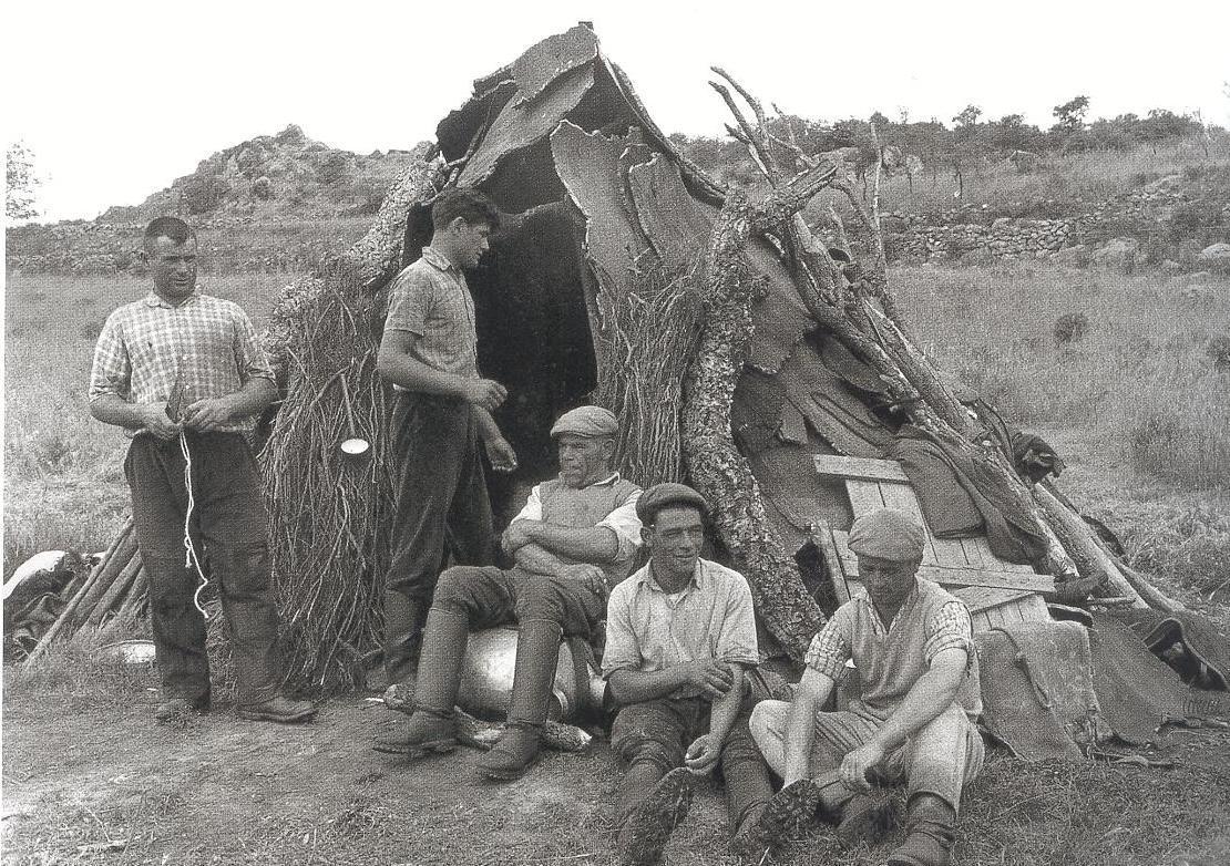 I segreti dei cognomi. Cinquemila famiglie Pinna: tutto iniziò con la piuma e la penna di uno scrivano 