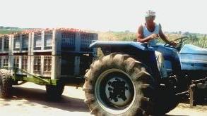 <strong>LA PROTESTA.</strong> Domani gli agricoltori scenderanno in piazza