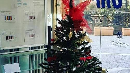 Ecco gli alberi: fiocchi, palline e mille luci