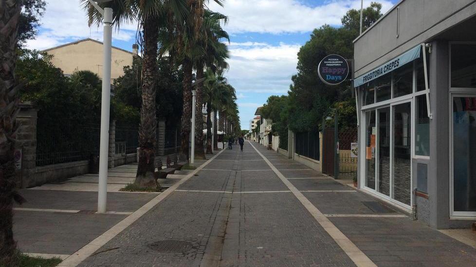Luci a led e nuove palme messi a punto gli interventi