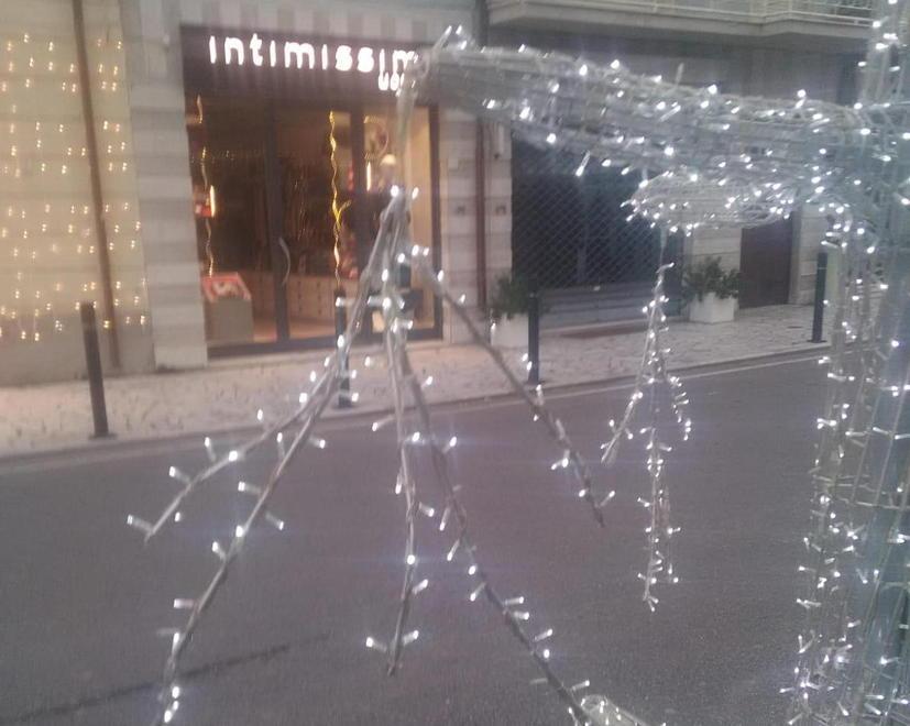 Danni all’Albero di Natale, uova sull’auto di Gidò: a Marina vandali in azione 