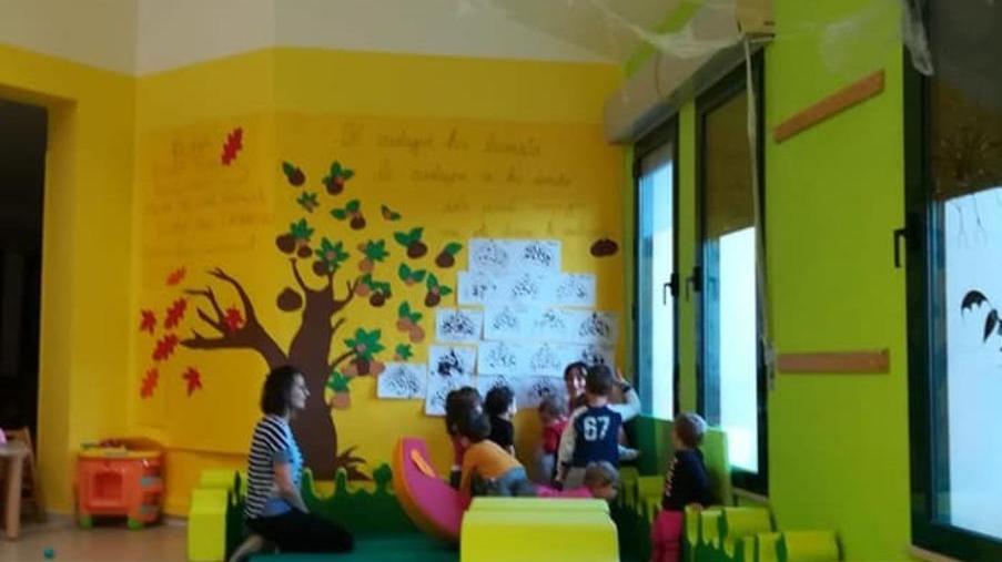 Dal nido di Norcia grazie ai codigoresi per le donazioni