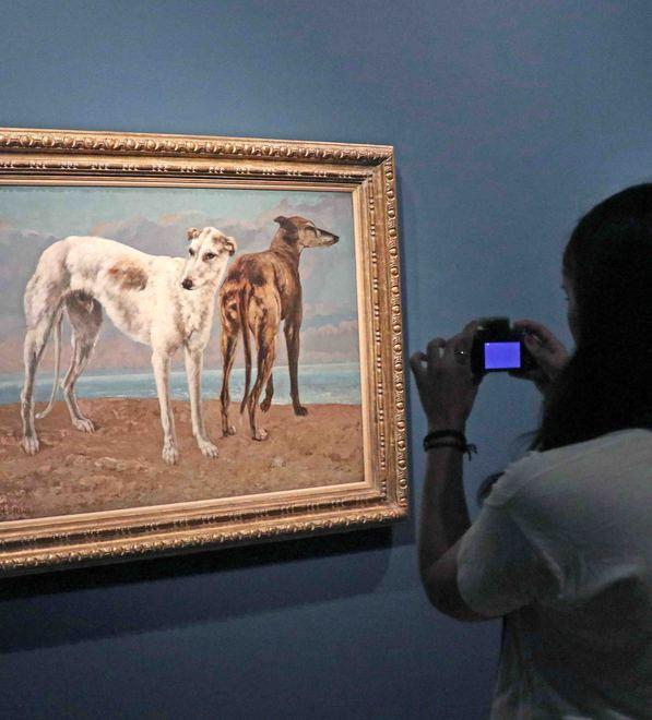 L’arte innamorata dei levrieri I cani preferiti dai grandi maestri 