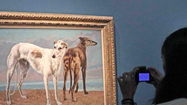 L’arte innamorata dei levrieri I cani preferiti dai grandi maestri