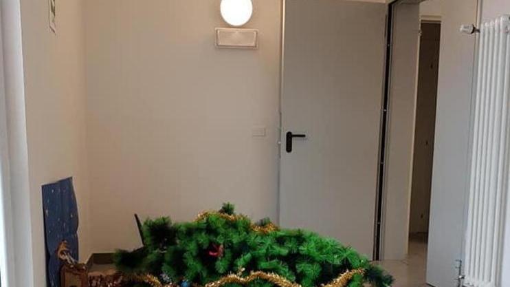 Vandali nella scuola albero di Natale abbattuto danni e caos nelle aule