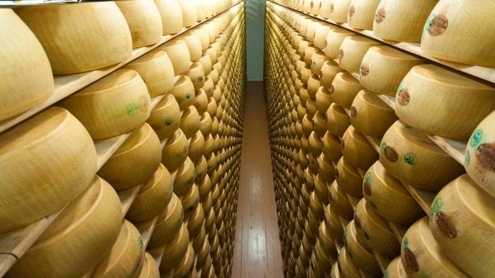 Il M5s va all’attacco «Tuteliamo l’eccellenza del nostro Parmigiano»