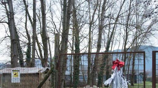 L’appello per i cani al freddo diventa virale, ma è una bufala