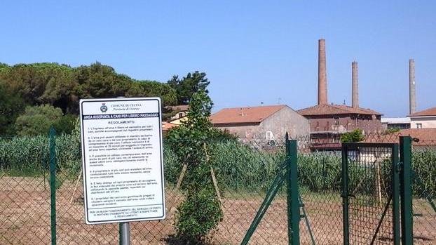 Nuove aree per cani e più spazio riservato in zona Ladronaia