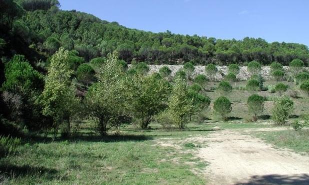 Parco dell’Acquabona un bando per gestirne 141mila metri quadrati