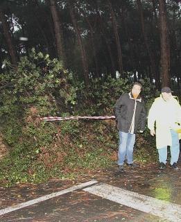 Bufera sulla costa:alberi abbattuti e strade chiuse