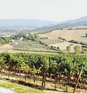 La vallata che si domina dai vigneti dell’azienda di Casale e Davide Sada