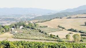 La vallata che si domina dai vigneti dell’azienda di Casale e Davide Sada