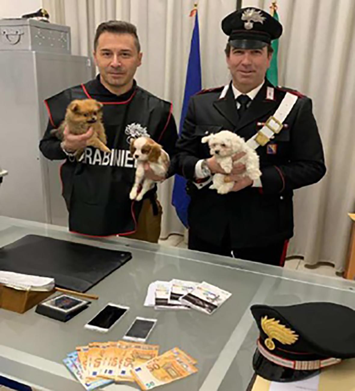 I cuccioli salvati dai carabinieri