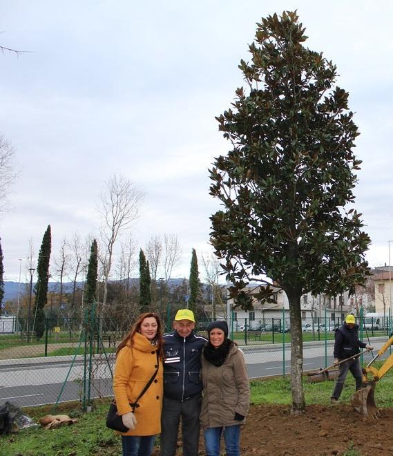 Regalata una magnolia alla scuola Roccon Rosso