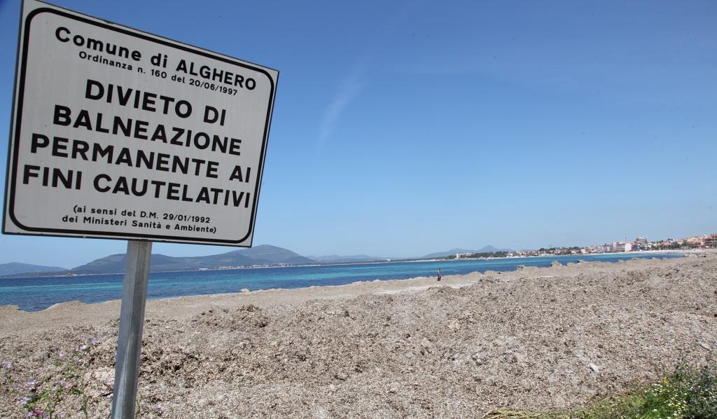 Alghe, i balneari algheresi passano dai sit-in alle carte bollate 