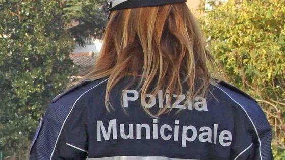 Vigilantes, la municipale «Attenzione ai contratti»