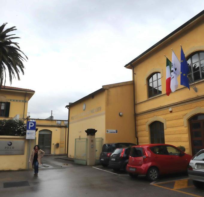 Triscovery lancia una raccolta di capitali per espandersi 