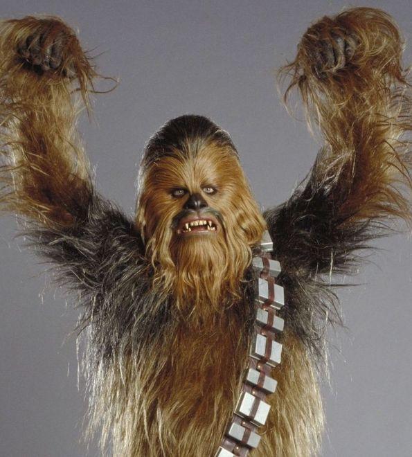 I comics di Seravezza ospitano il costume originale di Chewbecca 