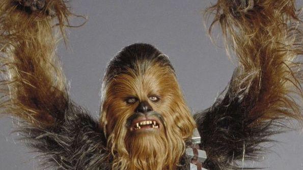 I comics di Seravezza ospitano il costume originale di Chewbecca