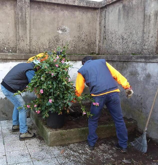 Ladri in azione al sottopasso di via Gorizia: via le piante