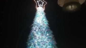 Metti un selfie con l’albero