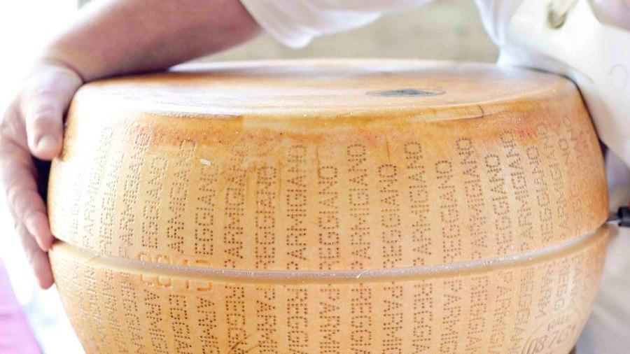 Il Parmigiano Reggiano prende forma all’aperto