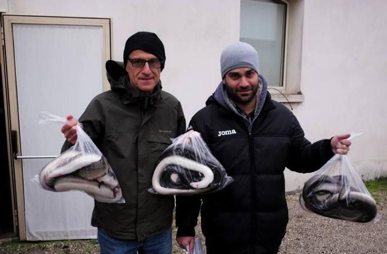 Assalto alle anguille 