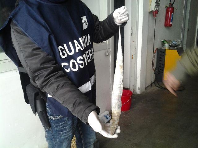 Pesce sequestrato in una pescheria di Prato