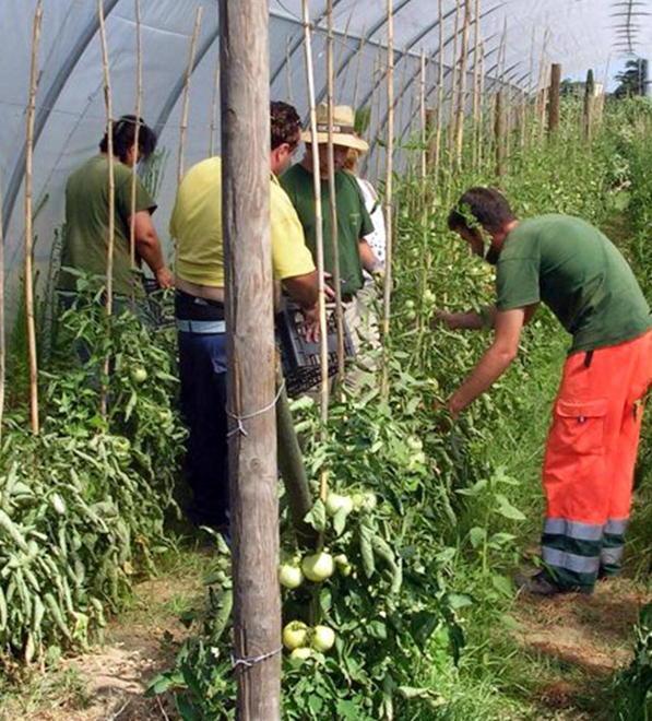 Retribuzioni medie sempre più basse: penultima in Toscana la provincia di Pistoia 