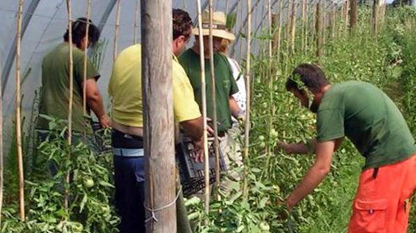 Retribuzioni medie sempre più basse: penultima in Toscana la provincia di Pistoia