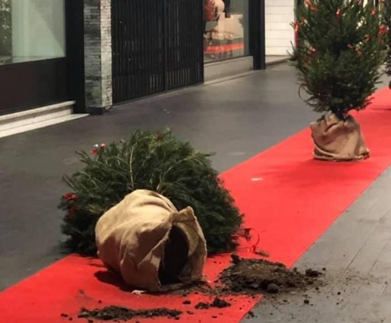Vandali contro gli alberi di Natale