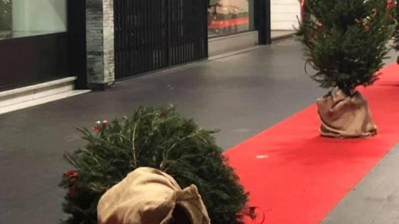 Vandali contro gli alberi di Natale
