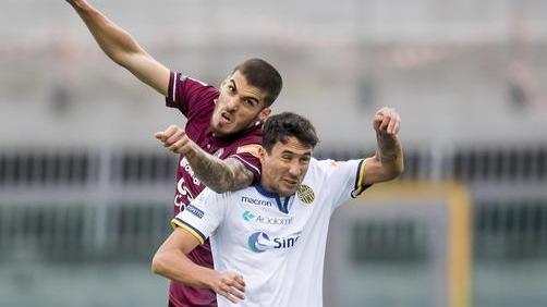 Bogdan è una roccia non sbaglia un pallone E Agazzi sembra rinato