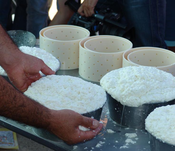 Atlante delle biodiversità: entra il pecorino di Osilo 